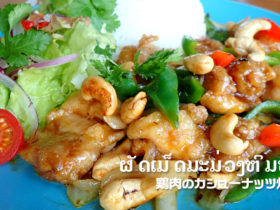 鶏肉のカシューナッツ炒めご飯