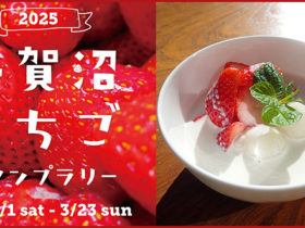 手賀沼いちごスタンプラリー2025